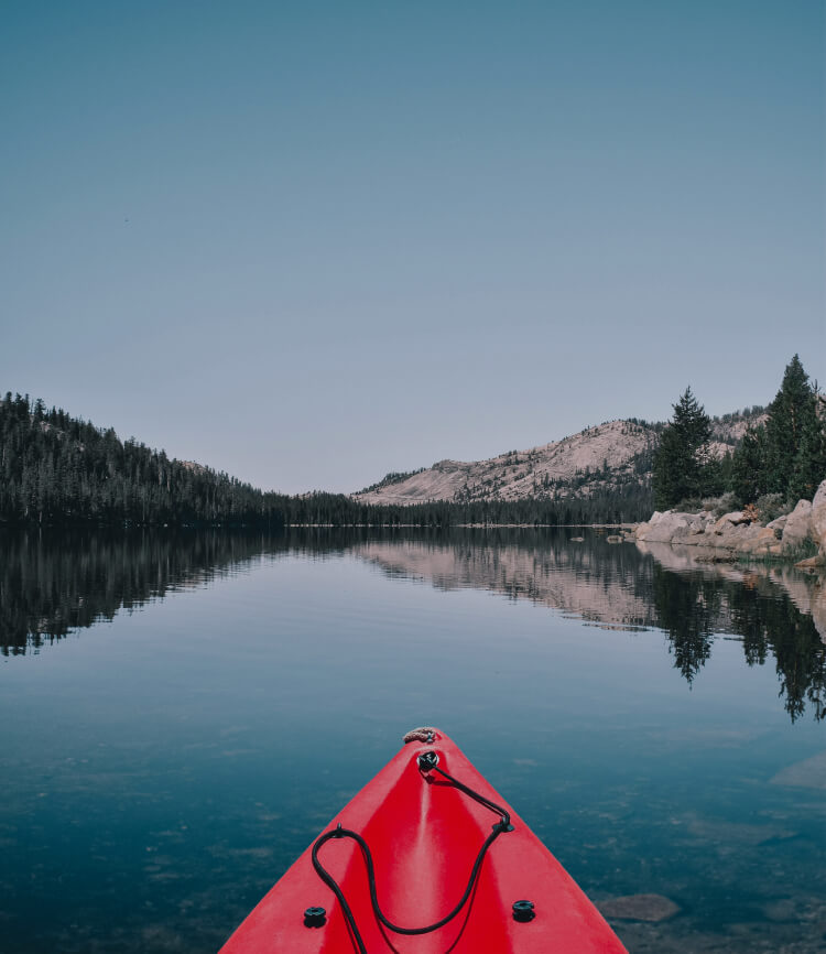 Description of the image